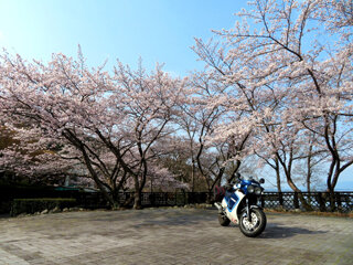 IMG_7292c.jpg