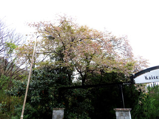 IMG_7381b.jpg