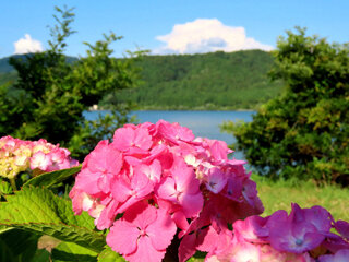 IMG_7495n.jpg