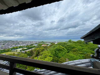 IMG_7569h.jpg