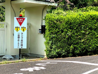 IMG_7909b.jpg