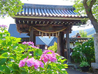 IMG_7938a.jpg