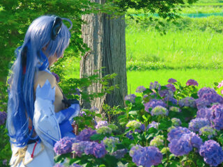IMG_7939b.jpg