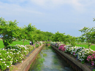 IMG_8071b.jpg