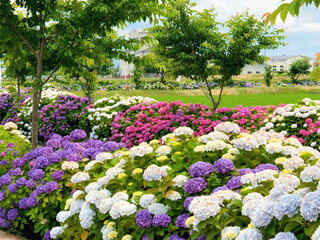 IMG_8072c.jpg