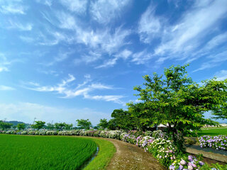 IMG_8076d.jpg