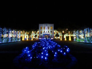 IMG_8118f.jpg