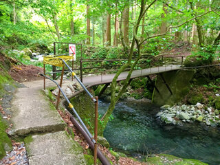IMG_8152a.jpg