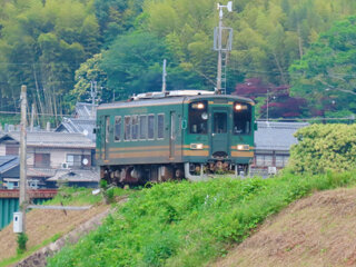 IMG_8496e.jpg