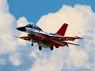 IMG_8509a.jpg