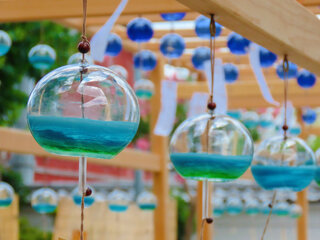 IMG_8553a.jpg