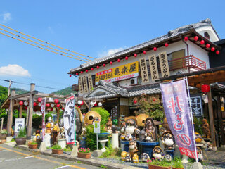 IMG_8599a.jpg