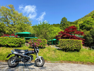 IMG_9024b.jpg