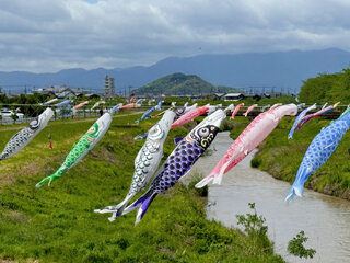IMG_9138h.jpg