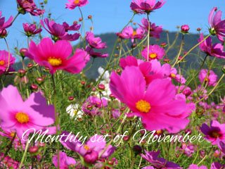 IMG_9477a.jpg