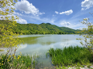 IMG_9503m.jpg