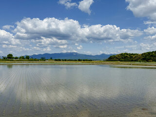 IMG_9505o.jpg