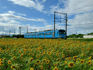IMG_9760c.jpg
