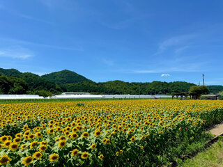 IMG_9796b.jpg