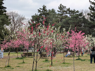 PXL_20250327_065201426~2b.jpg