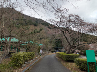PXL_20250403_233005812b.jpg