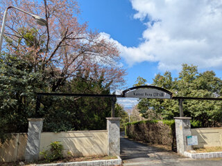 PXL_20250404_004856938e.jpg