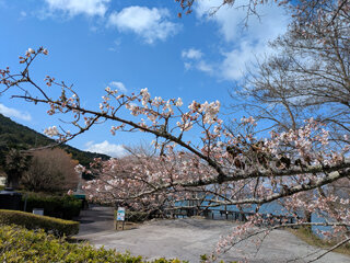 PXL_20250404_005155654f.jpg