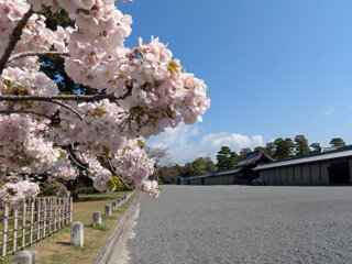 PXL_20250414_000653615e.jpg