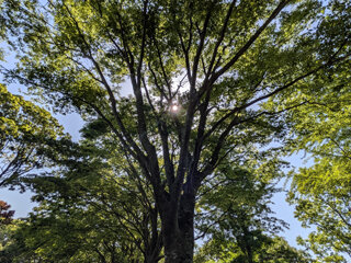 PXL_20260518_055223815d.jpg