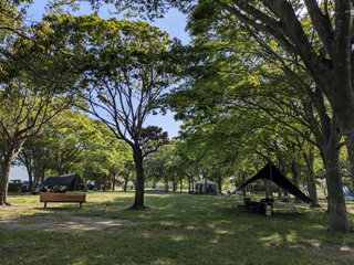 PXL_20260518_062651609e.jpg
