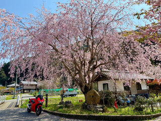 IMG_6377c.jpg