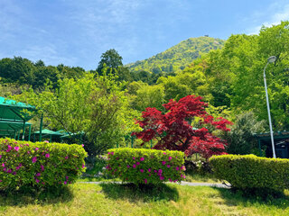 IMG_7060a.jpg