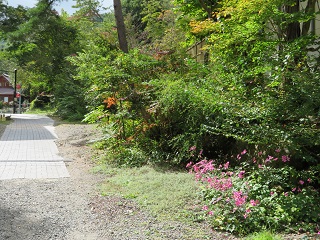 201010_02.jpg
