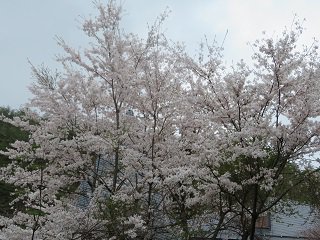 220416_02.JPG