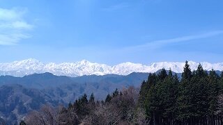 250417115744419~2.JPG