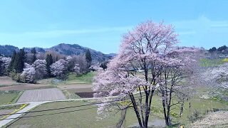 250417120522200~3.JPG