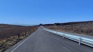 250430131246089~2.JPG