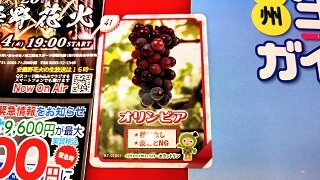250917112917538~2.JPG