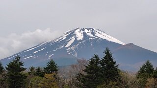 250514111826496.JPG