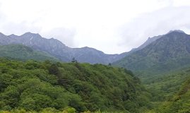 DSC_1378.JPG