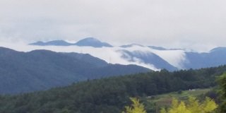 DSC_2425.JPG