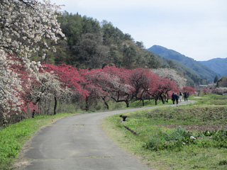 IMG_1234_2.jpg