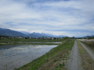 IMG_1322_2.jpg