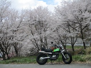 IMG_2692.JPG