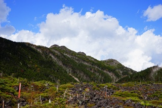 _DSC9026.kitayatugatake3.JPG