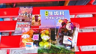 250917112910619~2.JPG