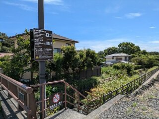 PXL_20260818_011216279.jpg