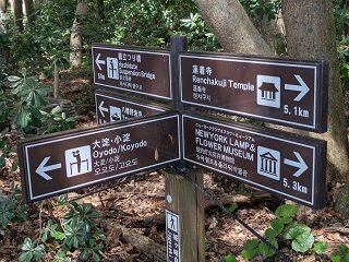 PXL_20260818_012131759.jpg