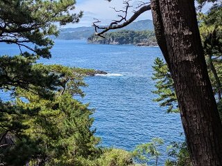 PXL_20260818_012213610.jpg