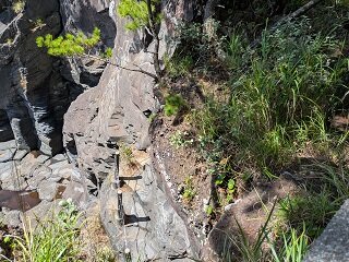PXL_20260818_012320683.jpg